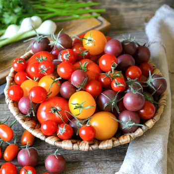 Cherry paradajka