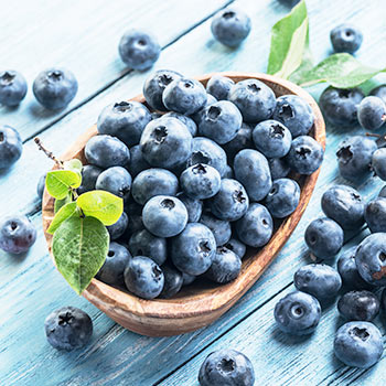 Čučoriedka čierna