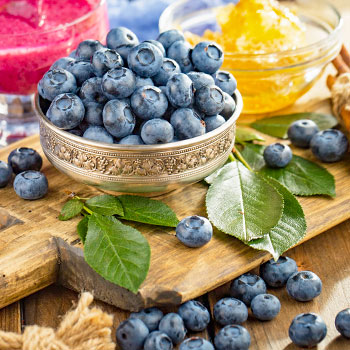 Čučoriedka kanadská