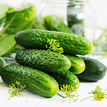 Cudzoopelivé uhorky