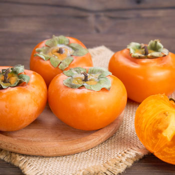 Ebenovník rajčiakový