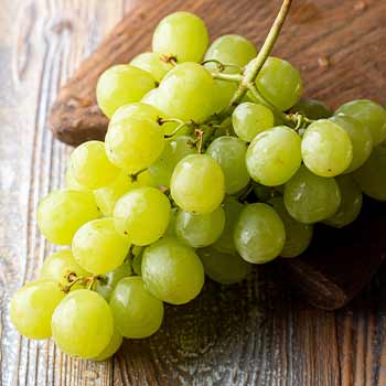 Hrozno je bez kôstok