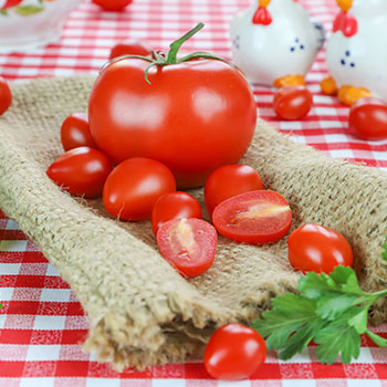 Kríčková paradajka