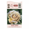 Ruža floribunda Honey Dijon®, C5 obrázok 3 artikel 6144