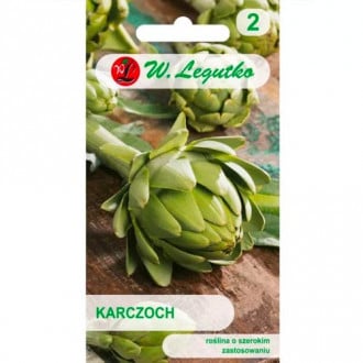 Artičok Gros Vert de Laon obrázok 6