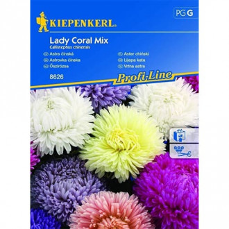 Astra čínska Lady Coral, zmes obrázok 1