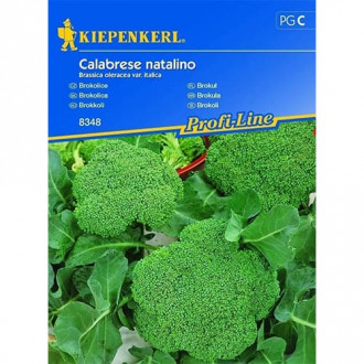 Brokolica Calabrese natalino, zmes farieb obrázok 1