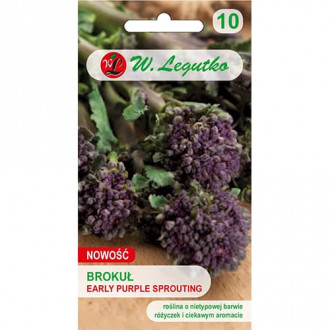 Brokolica Early Purple Sprouting obrázok 4