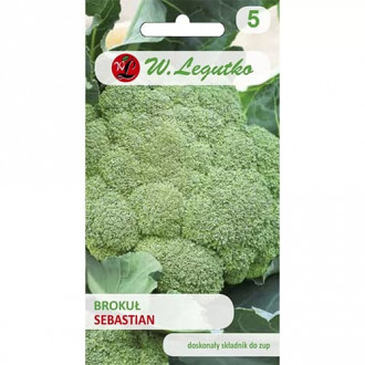 Brokolica Sebastian obrázok 5