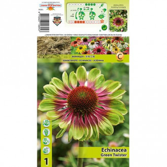 Echinacea Green Twister obrázok 2