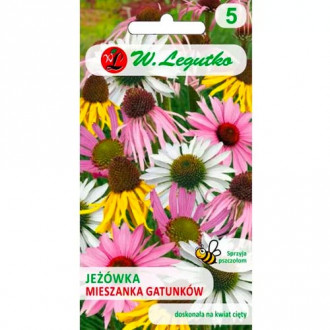 Echinacea, zmes obrázok 15