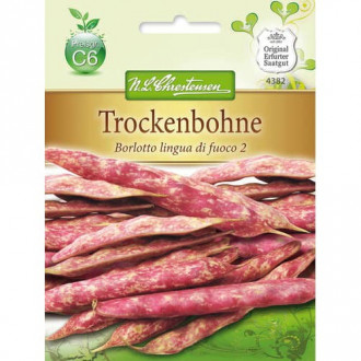 Fazuľa kríčková trpasličia Borlotto lingua di fuoco 2 fotografia 10 Fazuľa kríčková trpasličia Borlotto lingua di fuoco 2 obrázok 10