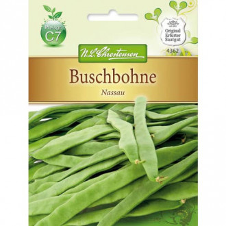 Fazuľa Nassau obrázok 11