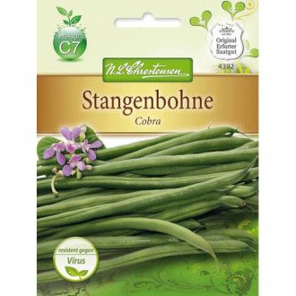 Fazuľa obyčajná Cobra fotografia 13 Fazuľa obyčajná Cobra obrázok 13