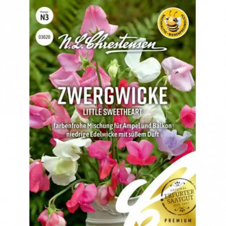 Hrach voňavý Little Sweetheart obrázok 2