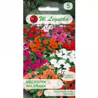 Impatiens Valerian F2, zmes obrázok 1