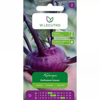 Kaleráb Delikatess blauer