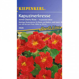 Kapucínka menšia Jewel Cherry Rose