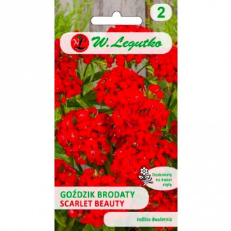 Karafiát fúzatý Scarlet Beauty obrázok 2