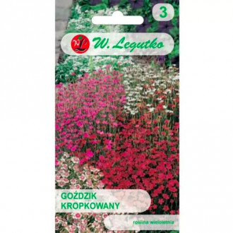 Karafiát kropkowany, zmes obrázok 11