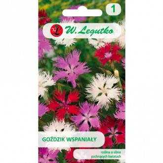 Karafiát vynikajúci, zmes obrázok 14