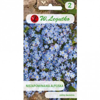 Modrá alpská nezábudka obrázok 10