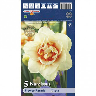 Narcis Flower Parade obrázok 2