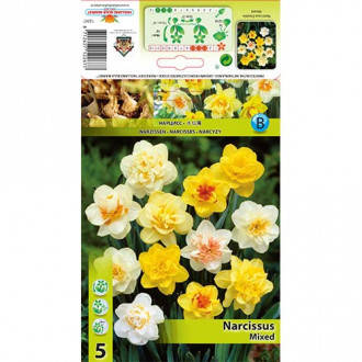 Narcis plnokvetý, mix obrázok 6