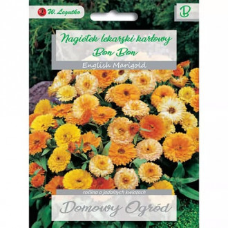 Nechtík lekársky trpasličí Bon Bon, zmes obrázok 9