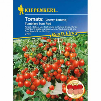 Paradajka cherry Tumbling Tom Red obrázok 2