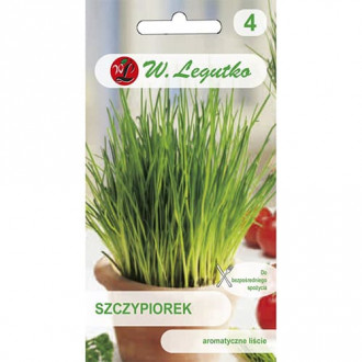Pažítka Medium leaf obrázok 6