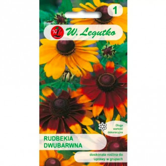 Rudbeckia bicolor, zmes obrázok 5