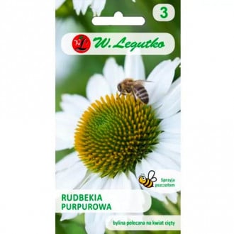 Rudbeckia fialová (Echinacea) biela obrázok 1