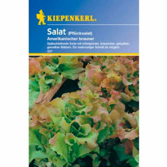 Šalát listový Frisée d'Amérique obrázok 6