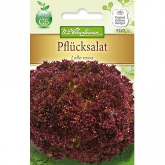 Šalát listový Lollo Rossa fotografia 9 Šalát listový Lollo Rossa obrázok 9