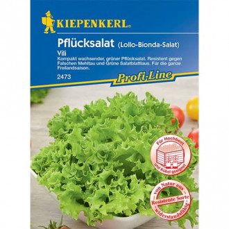 Šalát listový Vili fotografia 16 Šalát listový Vili obrázok 16