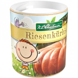 Semená tekvice obrázok 3