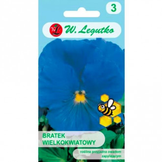 Sirôtka veľkokvetá Sky Blue obrázok 5
