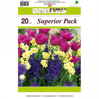 Super ponuka! Sada narcisov, tulipánov, hyacintov z 20 cibuliek obrázok 2