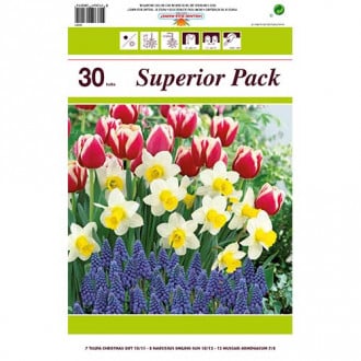 Super ponuka! Sada narcisov, tulipánov, modríc z 30 cibuliek obrázok 2