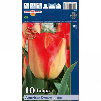 Tulipán American Dream obrázok 3