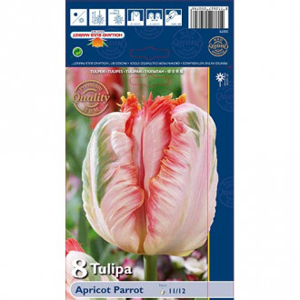 Tulipán Apricot Parrot obrázok 2