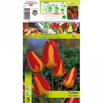 Tulipán Florette obrázok 5