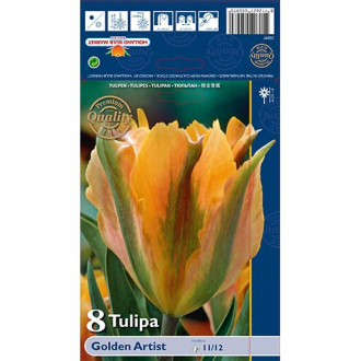 Tulipán Golden Artist obrázok 5