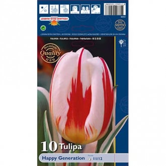 Tulipán Happy Generation obrázok 5