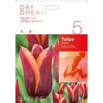 Tulipán Muvota obrázok 2