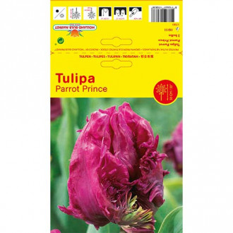 Tulipán Parrot Prince obrázok 1