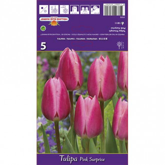 Tulipán Pink Surprise obrázok 3