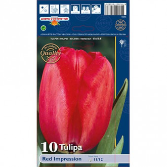 Tulipán Red Impression obrázok 4