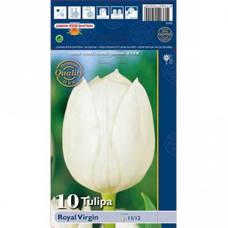 Tulipán Royal Virgin obrázok 3